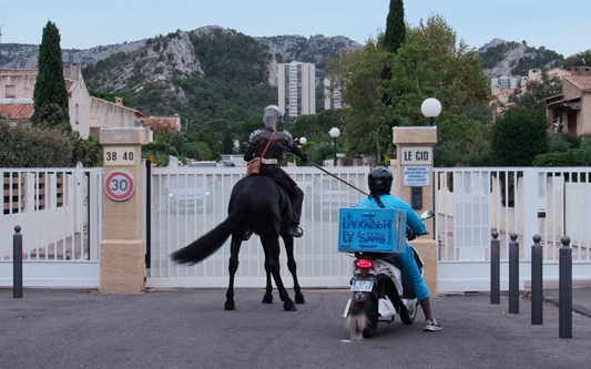 Don Quixote and Segregation